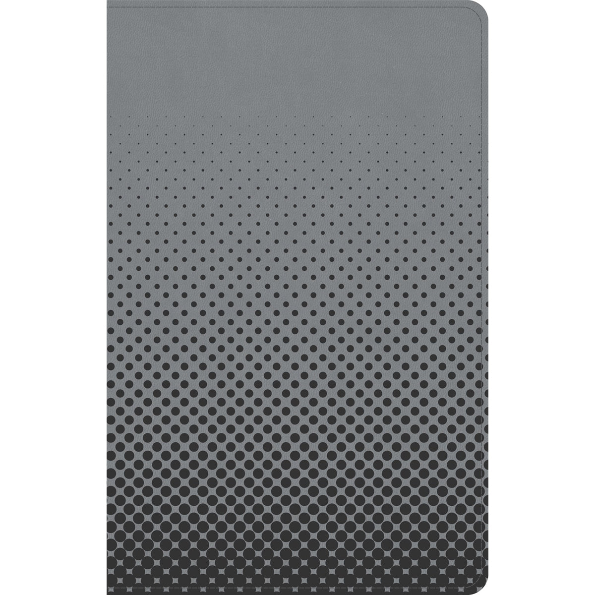 CSB Kids Bible Thinline Edition Gray (Imitation Leather)