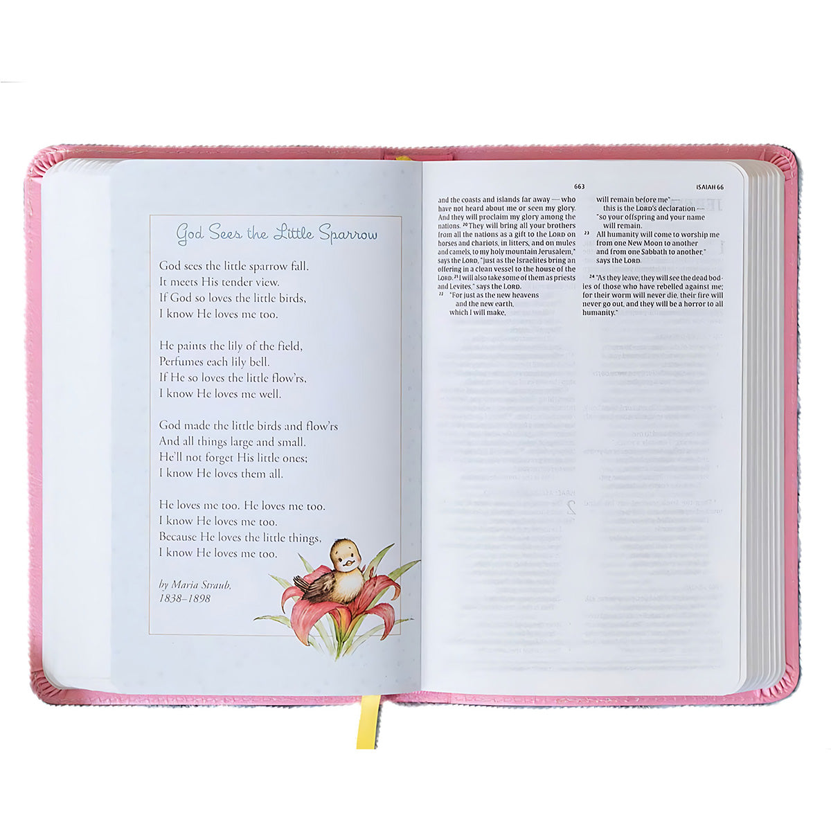 CSB Great and Small Bible, Red Letter, Imitation Leather, Pink
