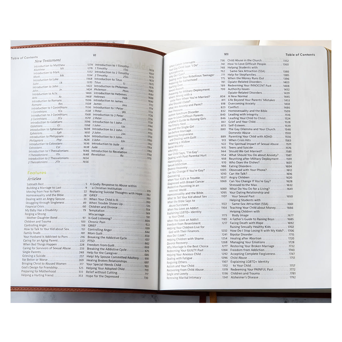 CSB Life Counsel Bible, Imitation Leather, Burnt Sienna