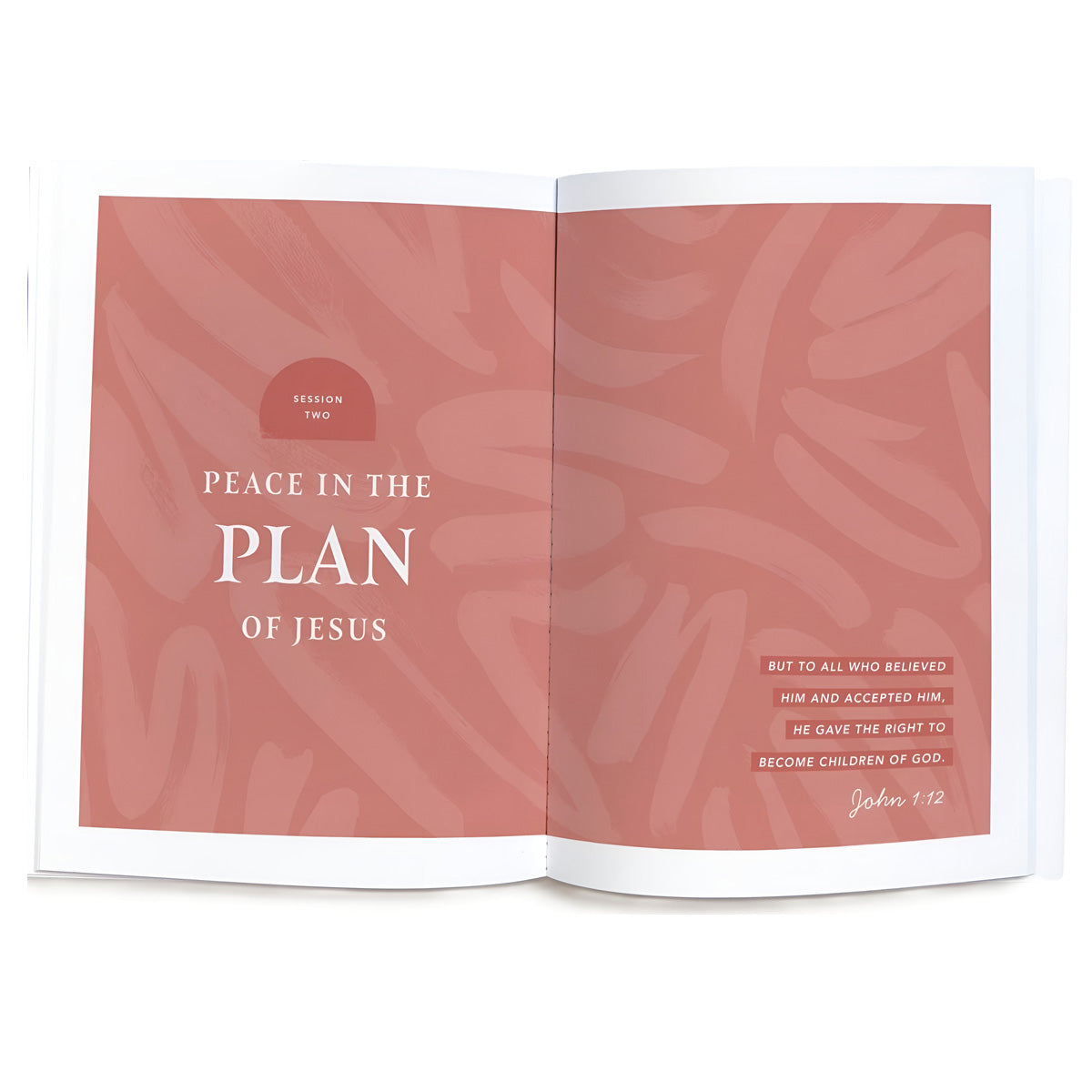 The Gospel of John: Savoring the Peace of Jesus in a Chaotic World Bible Study PB