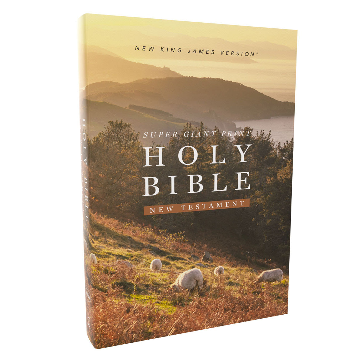NKJV Paperback New Testament Bible Red Letter Super Giant Comfort Print 