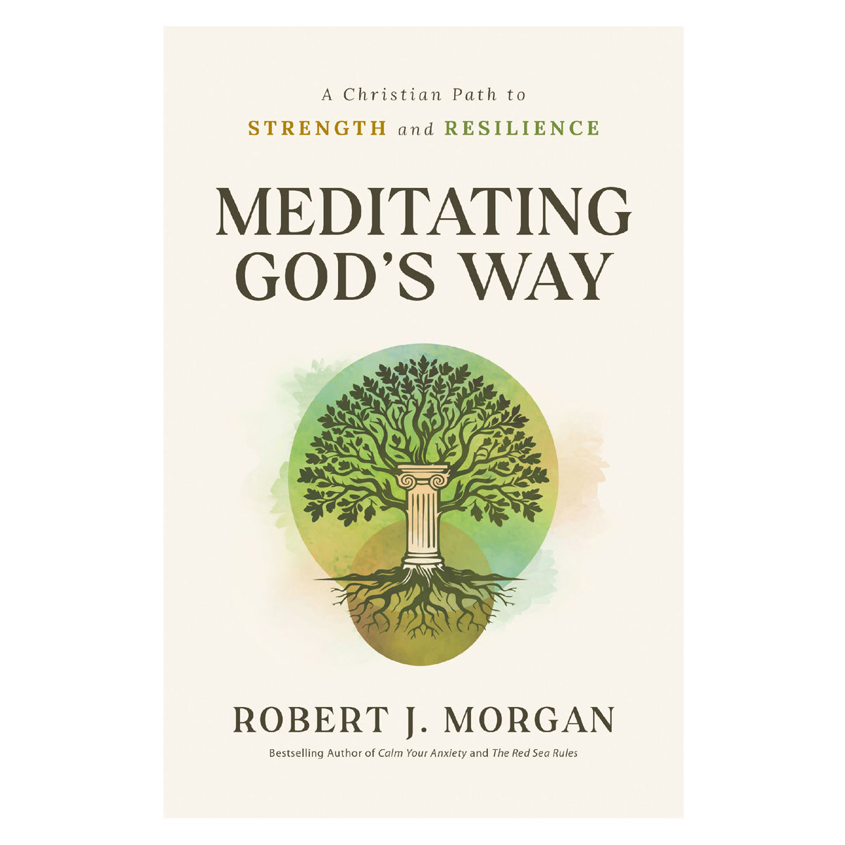Meditating God's Way: A Christian Path to Strength and Resilience (Paperback)