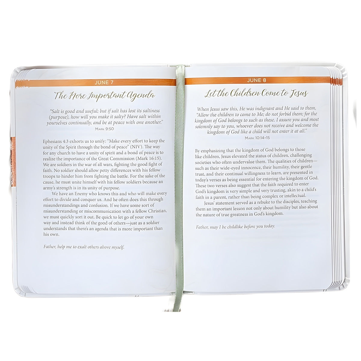 Jesus Amplified: The Deeper Meaning of the Words of Jesus IM