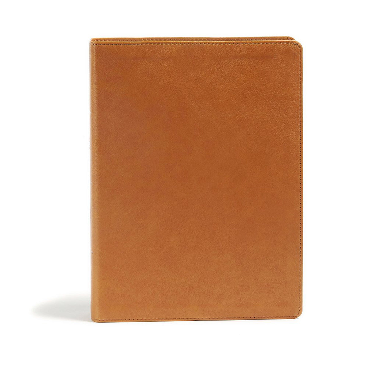 CSB Holy Land Illustrated Indexed Bible Ginger (Imitation Leather)
