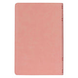 NLV Salm Kunsleer Toeligtingsbybel