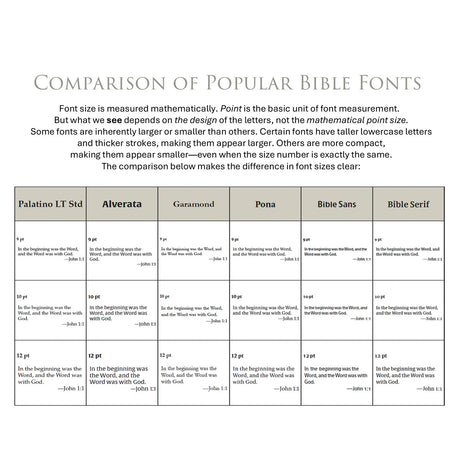 NLT Standard Black Hardcover Bible