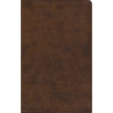 ESV Premium Gift Bible Brown (Imitation Leather)