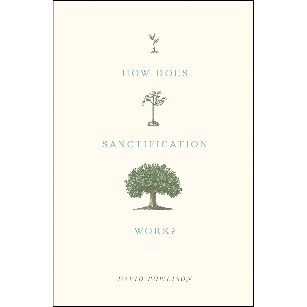 How Does Sanctification Work (Paperback)