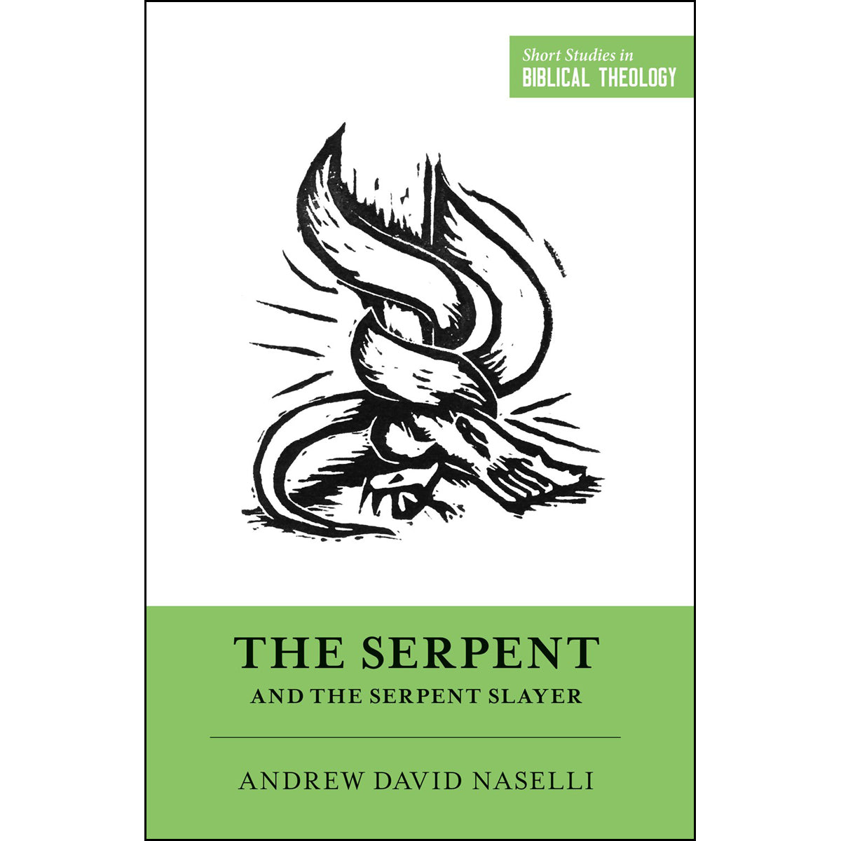 The Serpent And The Serpent Slayer (Paperback)