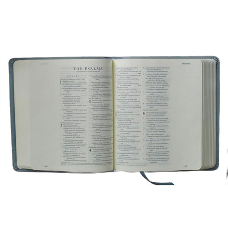 ESV Paris Sky Emblem Design Imitation Leather Journaling Bible