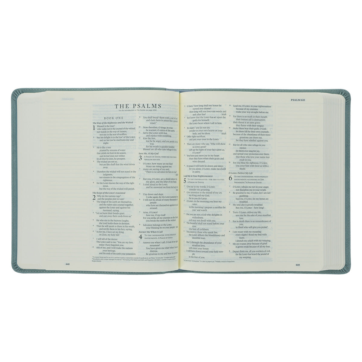 ESV Paris Sky Emblem Design Imitation Leather Journaling Bible