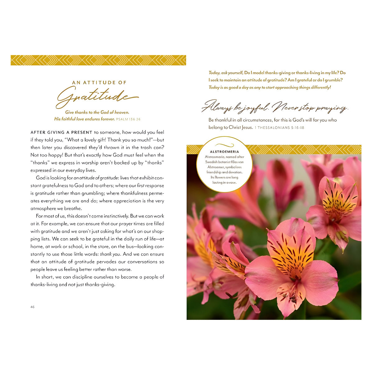 Flourish Devotions For A Well Tended Heart (Hardcover)