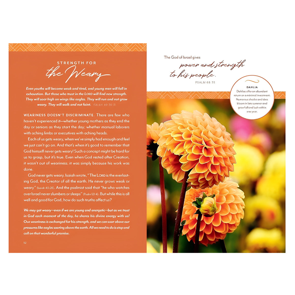 Flourish Devotions For A Well Tended Heart (Hardcover)