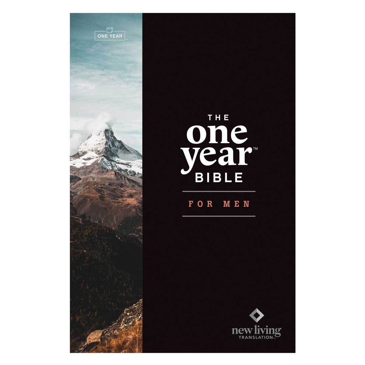 NLT The One Year Bible for Men Paperback