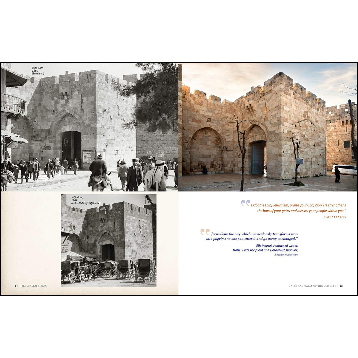 Jerusalem Rising: The City Of Peace Reawakens (Ancient Prophecy / Modern Lens)(Hardcover)