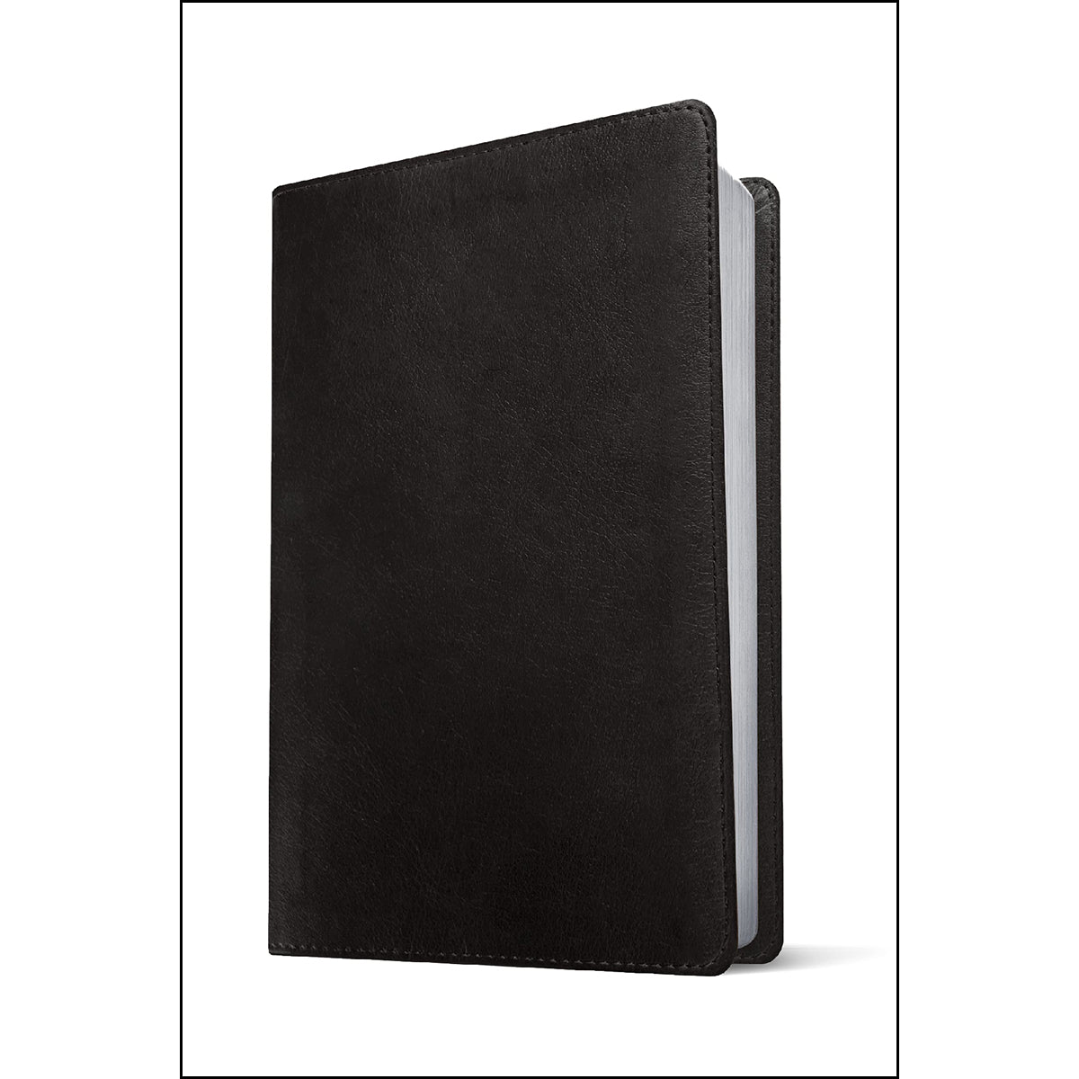 NLT Filament Bible Super Giant Print Red Letter Black (Imitation Leather)