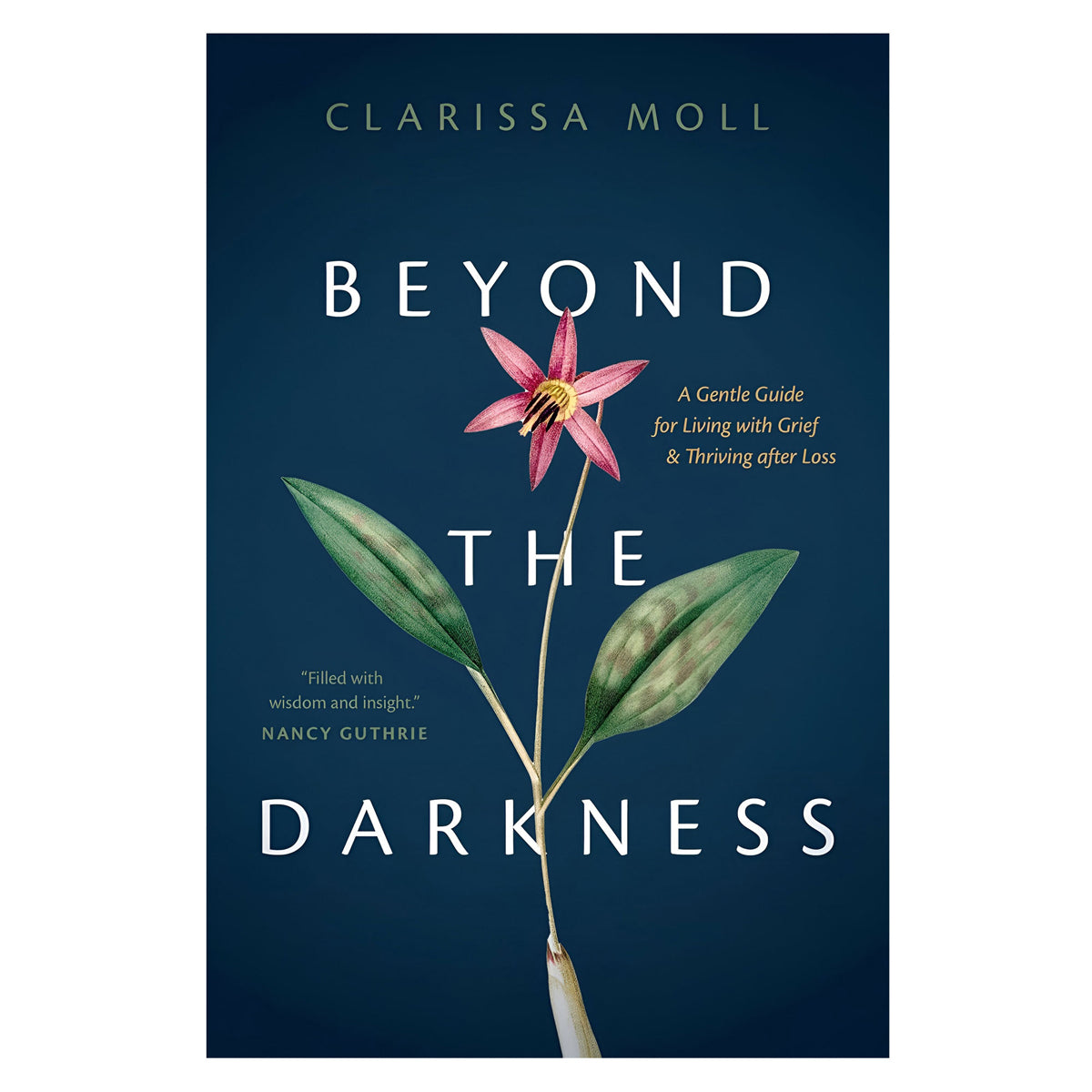 Beyond the Darkness: A Gentle Guide for Living with Grief & Thriving after Loss PB