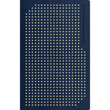 NLT Boys Life Application Study Bible, Indexed, TuTone, Blue / Neon / Glow (Imitation Leather)