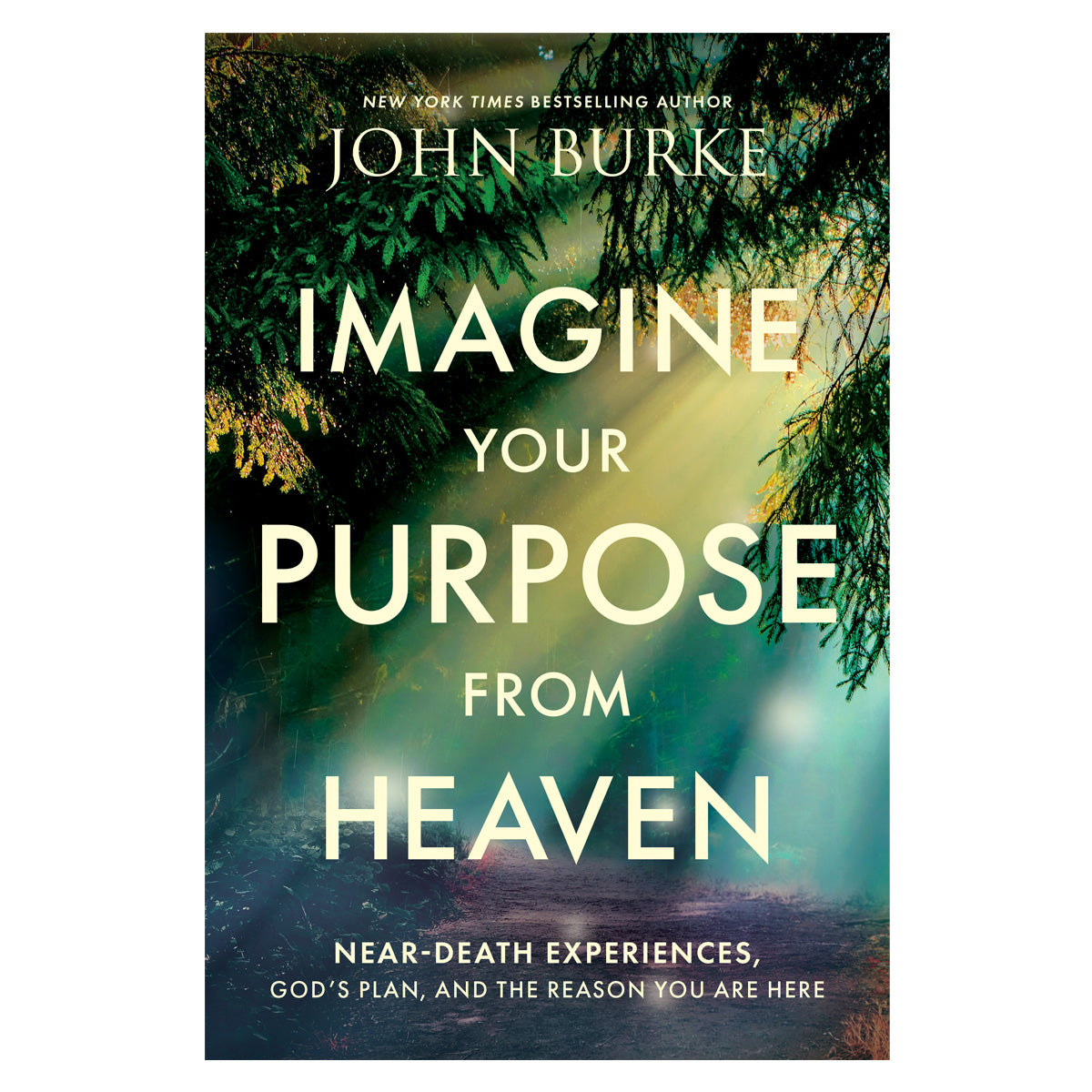 Imagine Your Purpose from Heaven: Near-Death Experiences, God’s Plan (Paperback)