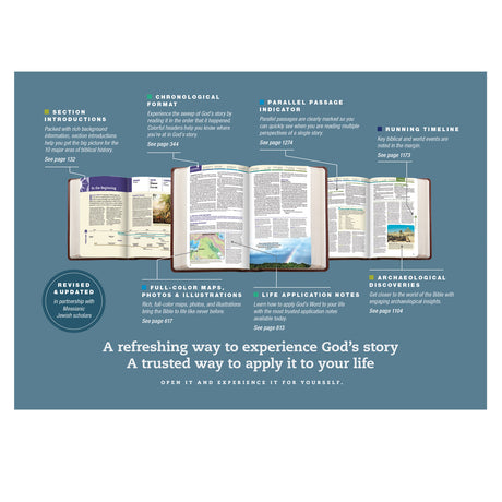 KJV Hardcover Chronological Life Application Study Bible Second Edition