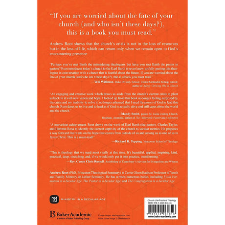 Churches And The Crisis Of Decline: A Hopeful, Practical Ecclesiology For A Secular Age (Paperback)