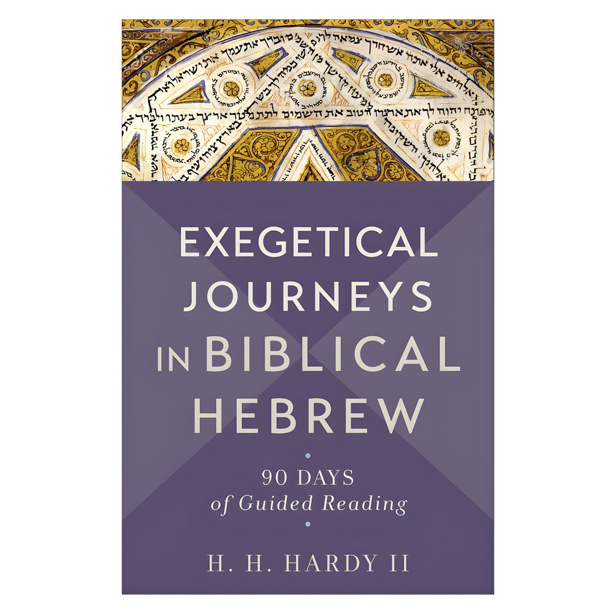 Exegetical Journeys in Biblical Hebrew: 90 Days of Guided Reading (Paperback)