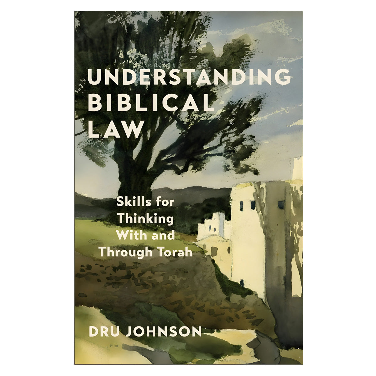 Understanding Biblical Law: Skills for Thinking with and Through Torah (Paperback)