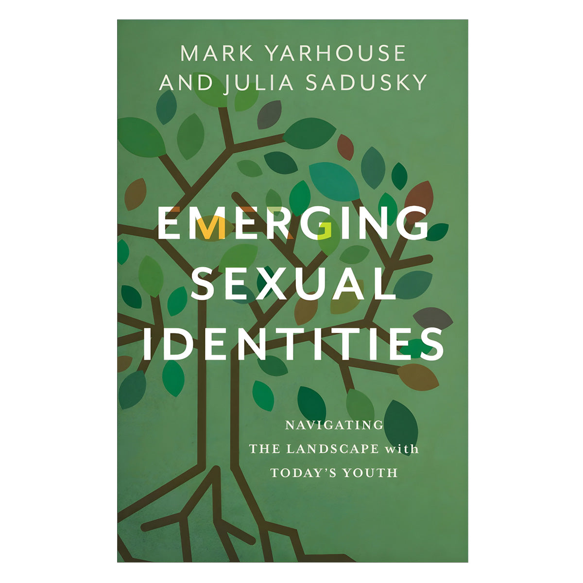 Emerging Sexual Identities: Navigating the Landscape with Today's Youth (Paperback)