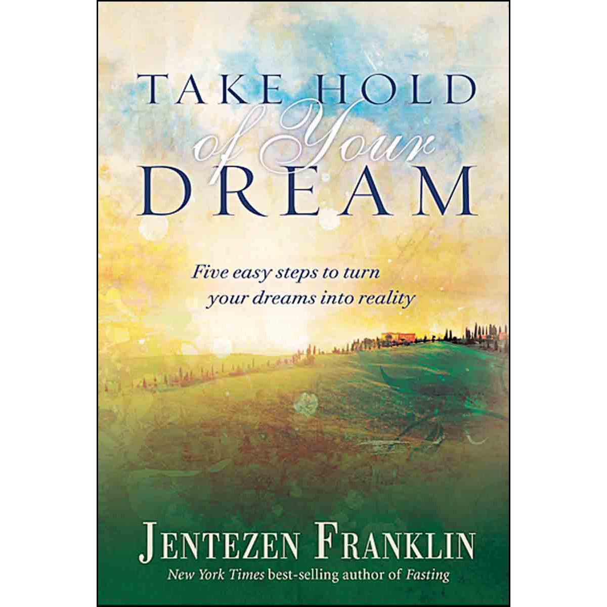 Take Hold Of Your Dream: Five Easy Steps To Turn Your Dreams Into Reality (Hardcover)
