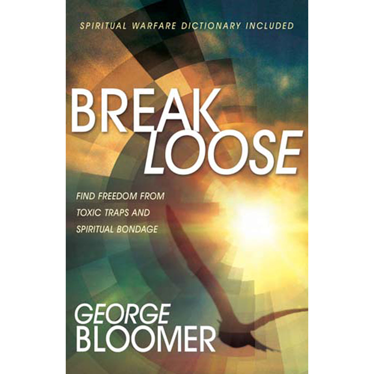 Break Loose (Paperback)