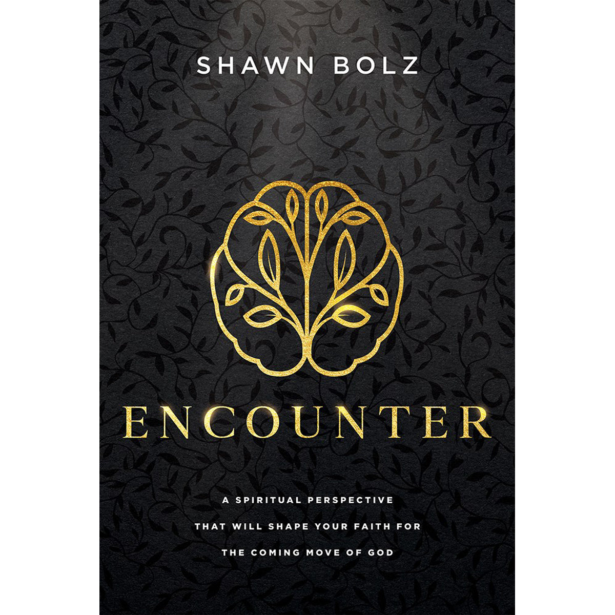 Encounter: A Spiritual Perspective That Will Shape Your Faith for the Coming Move of God (Hardcover)