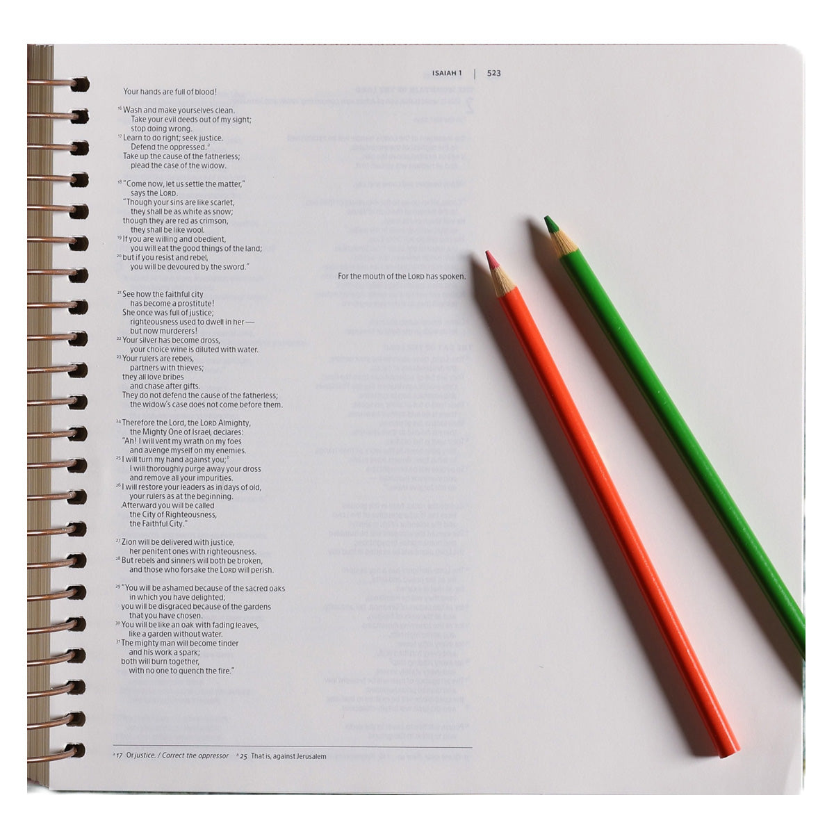 NIV Illustrating Bible, Spiral-Bound Imitation Leather, Dark Gray