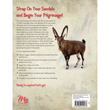 A Child's Geography: Explore The Holy Land Vol 2 (Paperback)