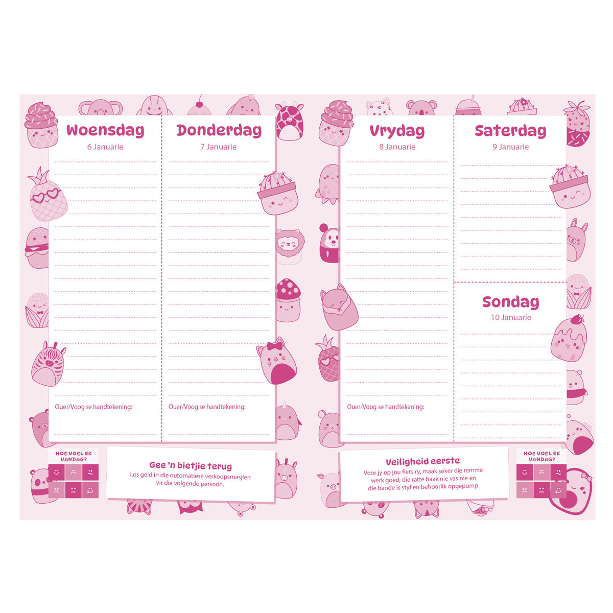 2027 Skooldagboek - Dagbeplanner vir Meisies - Sagteband