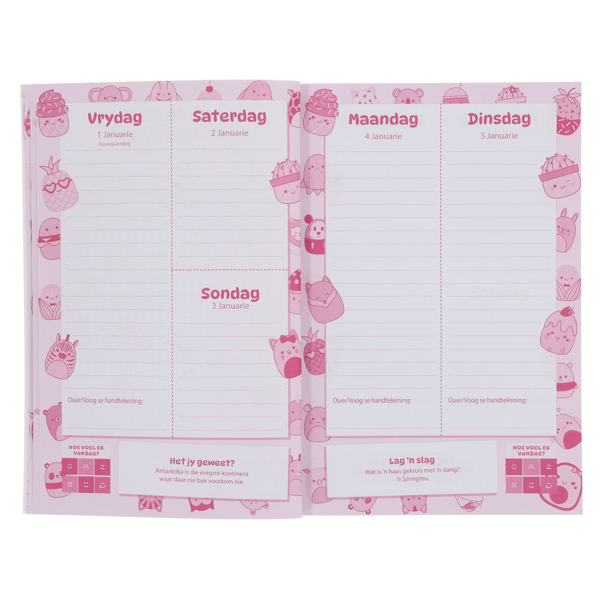 2027 Skooldagboek - Dagbeplanner vir Meisies - Sagteband