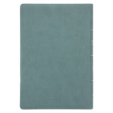 Afrikaans 1933/1953 Vertaling Blougroen Kunsleer Verklarende Studiebybel