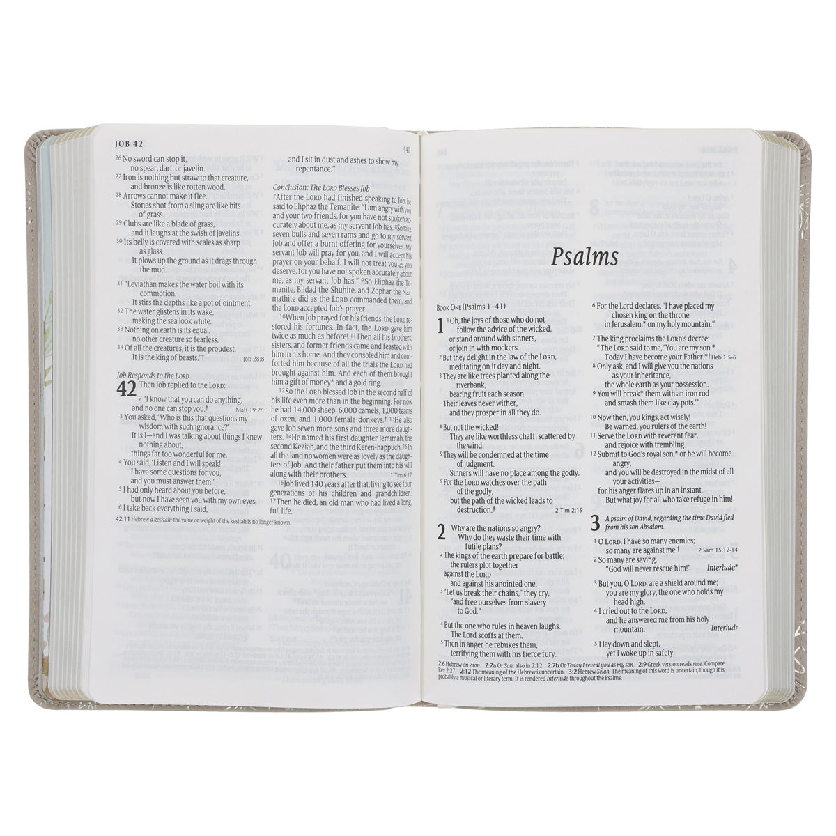 NLT Tiger Flexcover Faux Leather Baby's First Bible