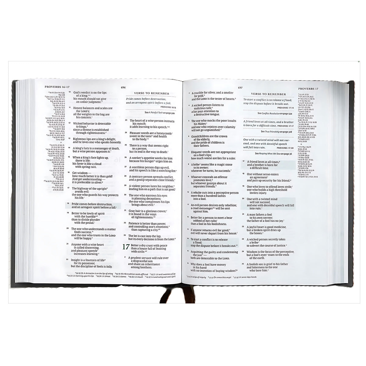 CSB Men of Character Bible, Revised and Updated, Hardcover, Charcoal Cloth Over Board