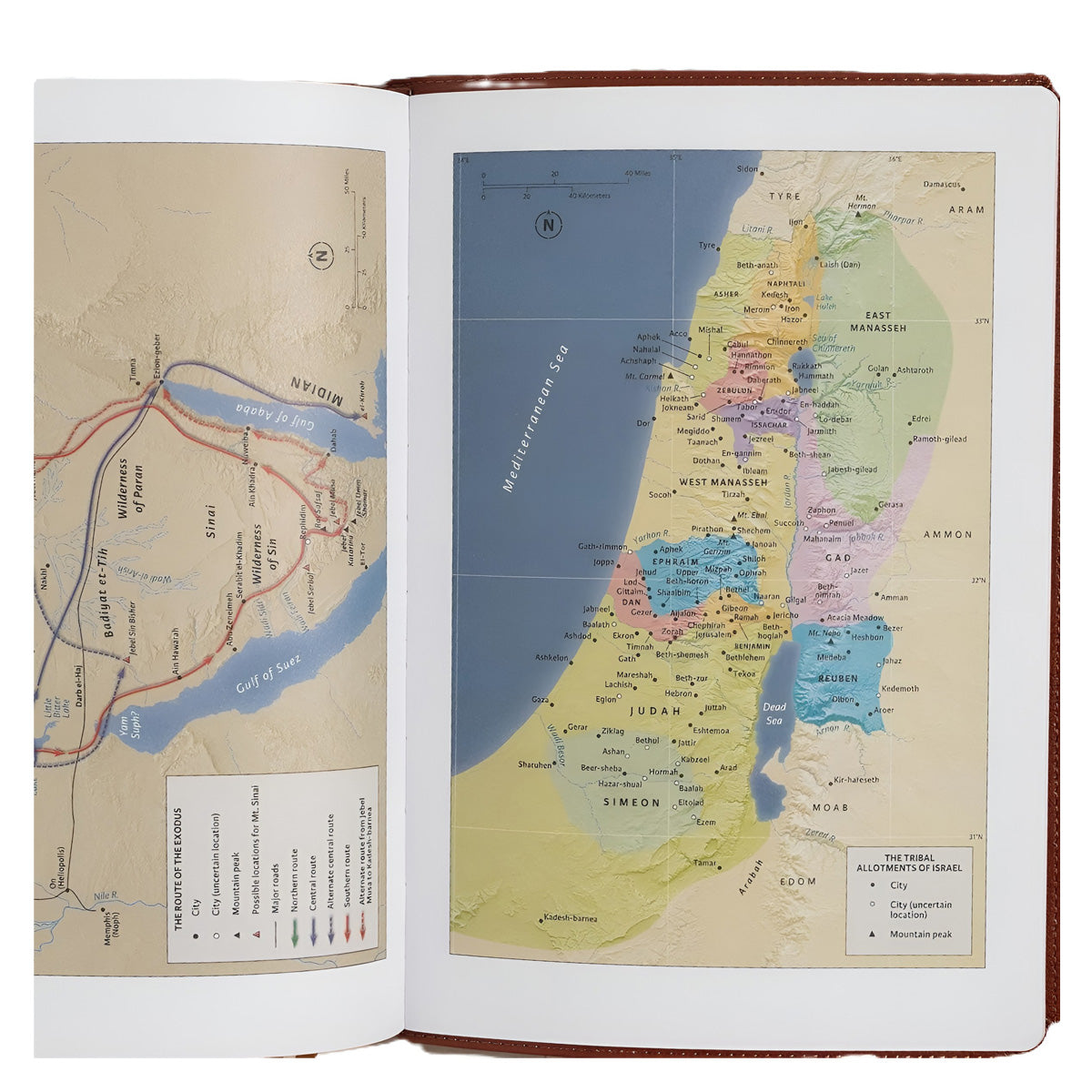 CSB Single-Column Bible, Giant Print, Imitation Leather, Burnt Sienna