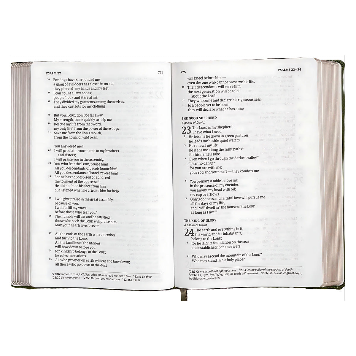 CSB Single-Column Bible, Giant Print, Imitation Leather, Olive