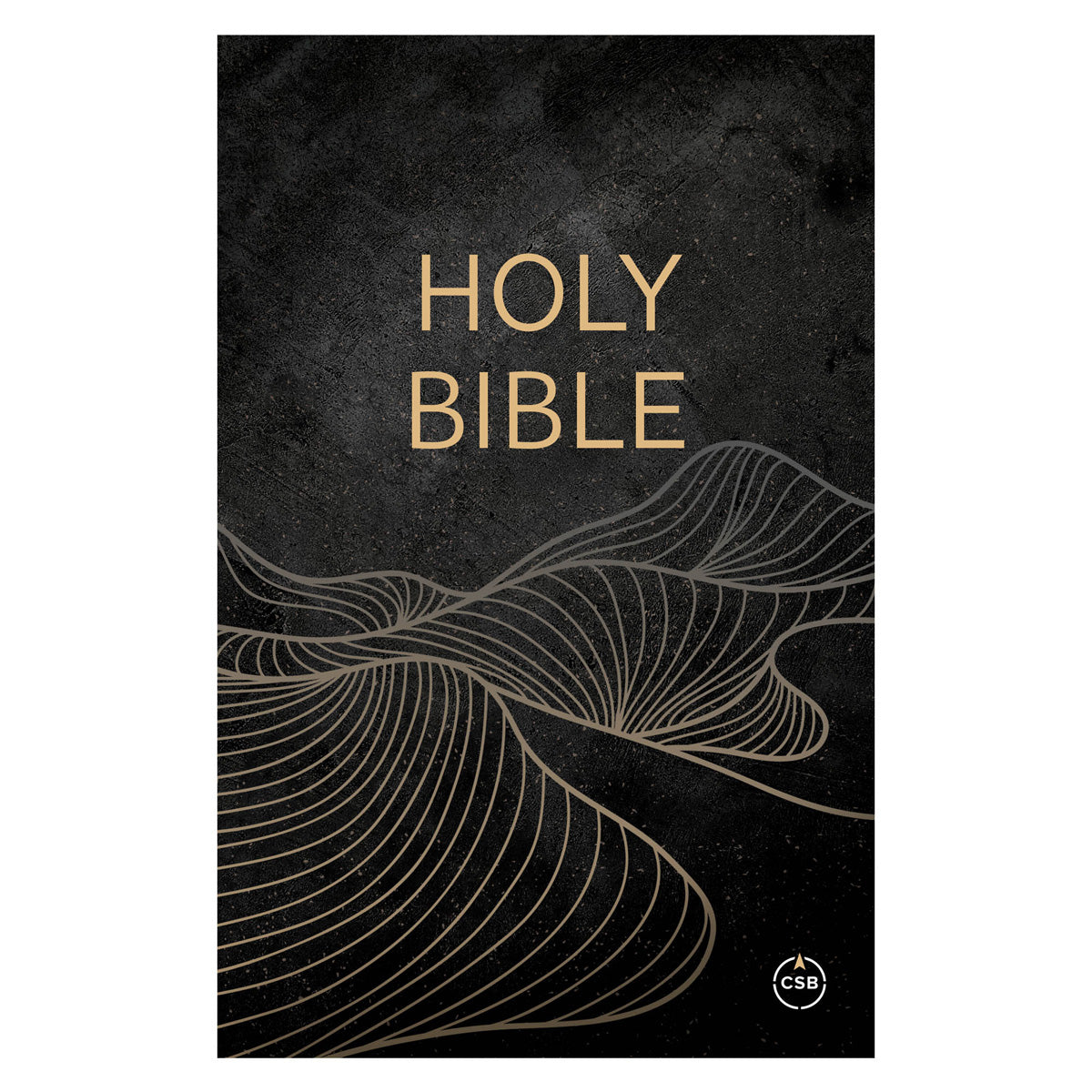 CSB Black Paperback Christian Art Edition Outreach Bible