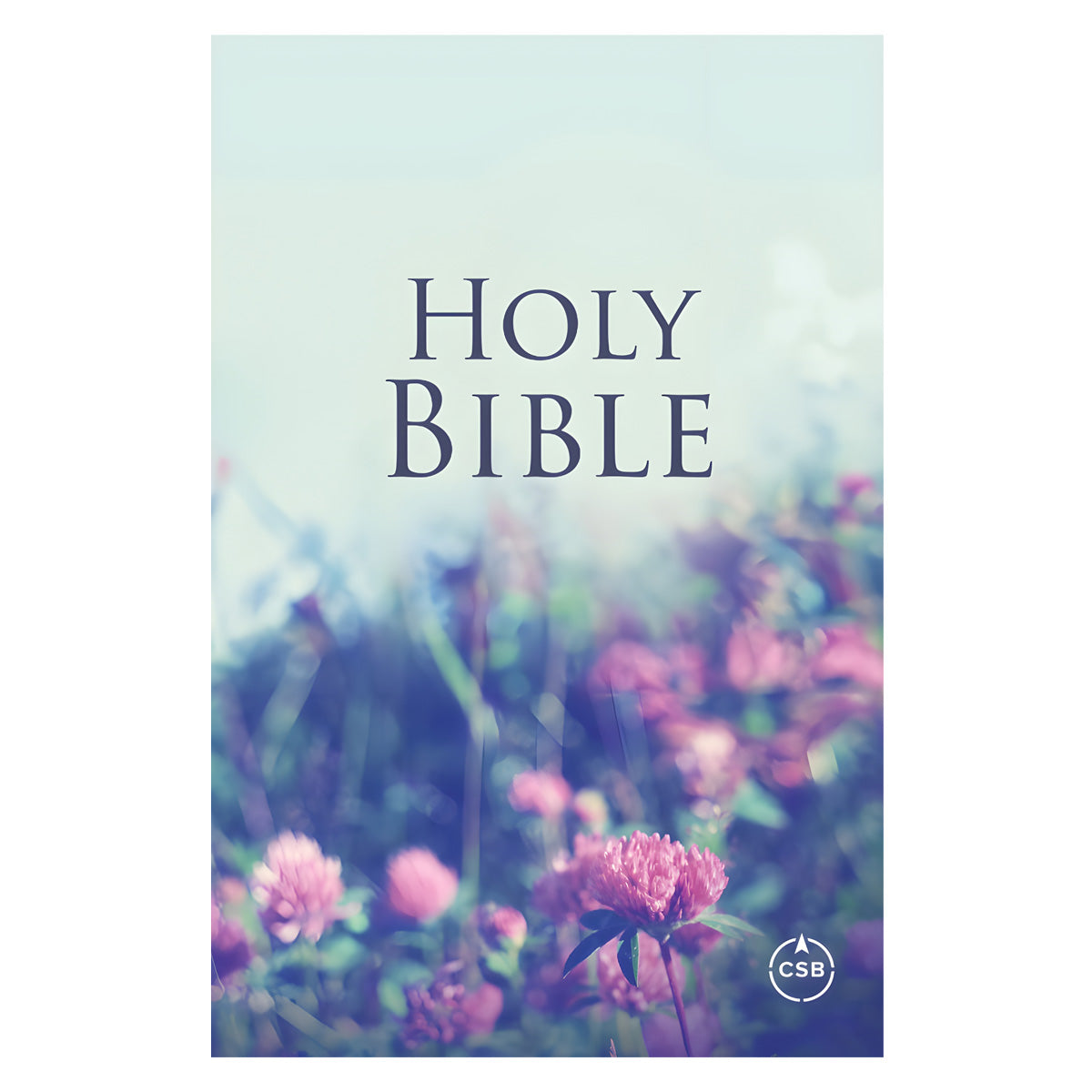 CSB Paperback Custom Christian Art Value Edition Compact Bible