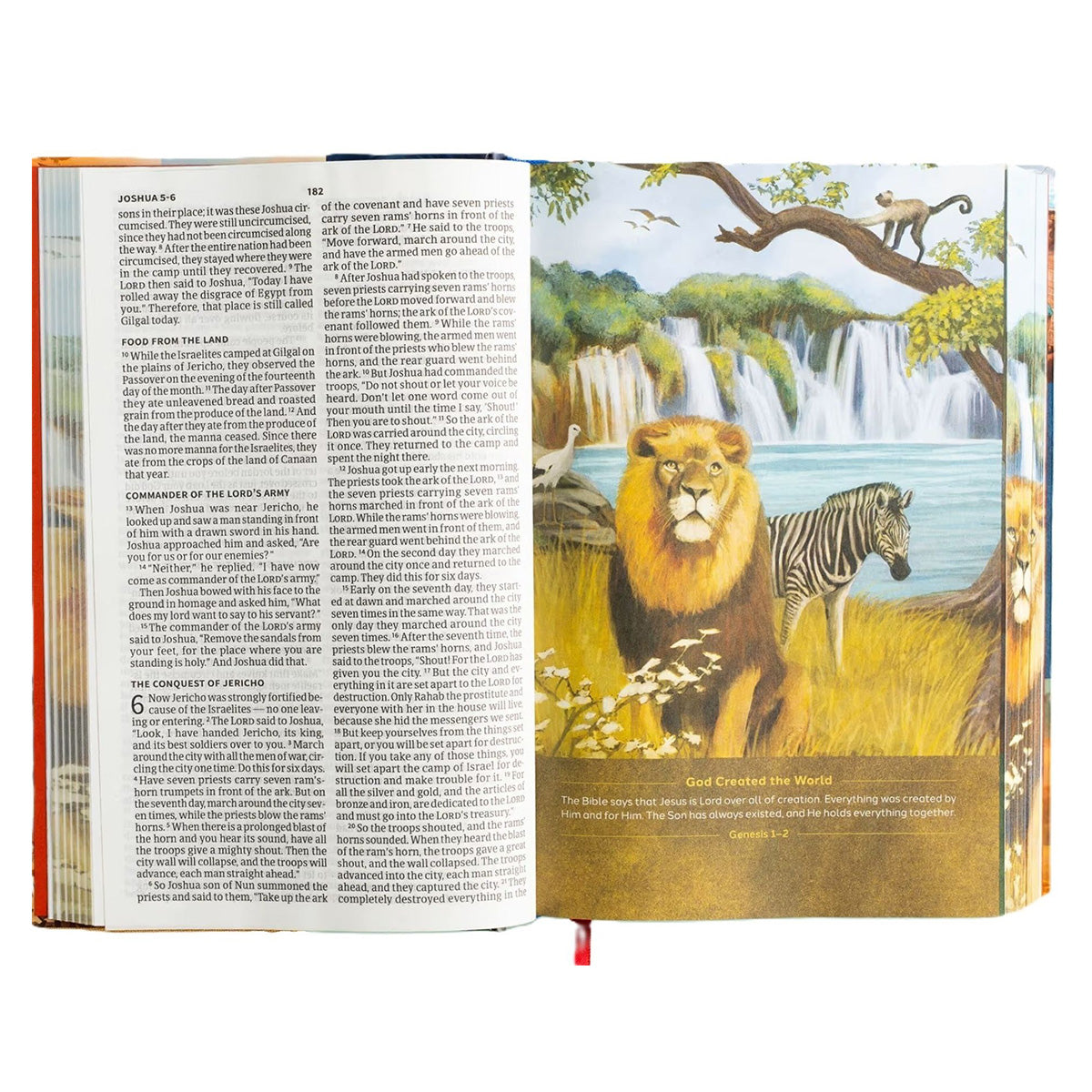 CSB Hardcover Holy Bible for Kids Economy Edition Large Print