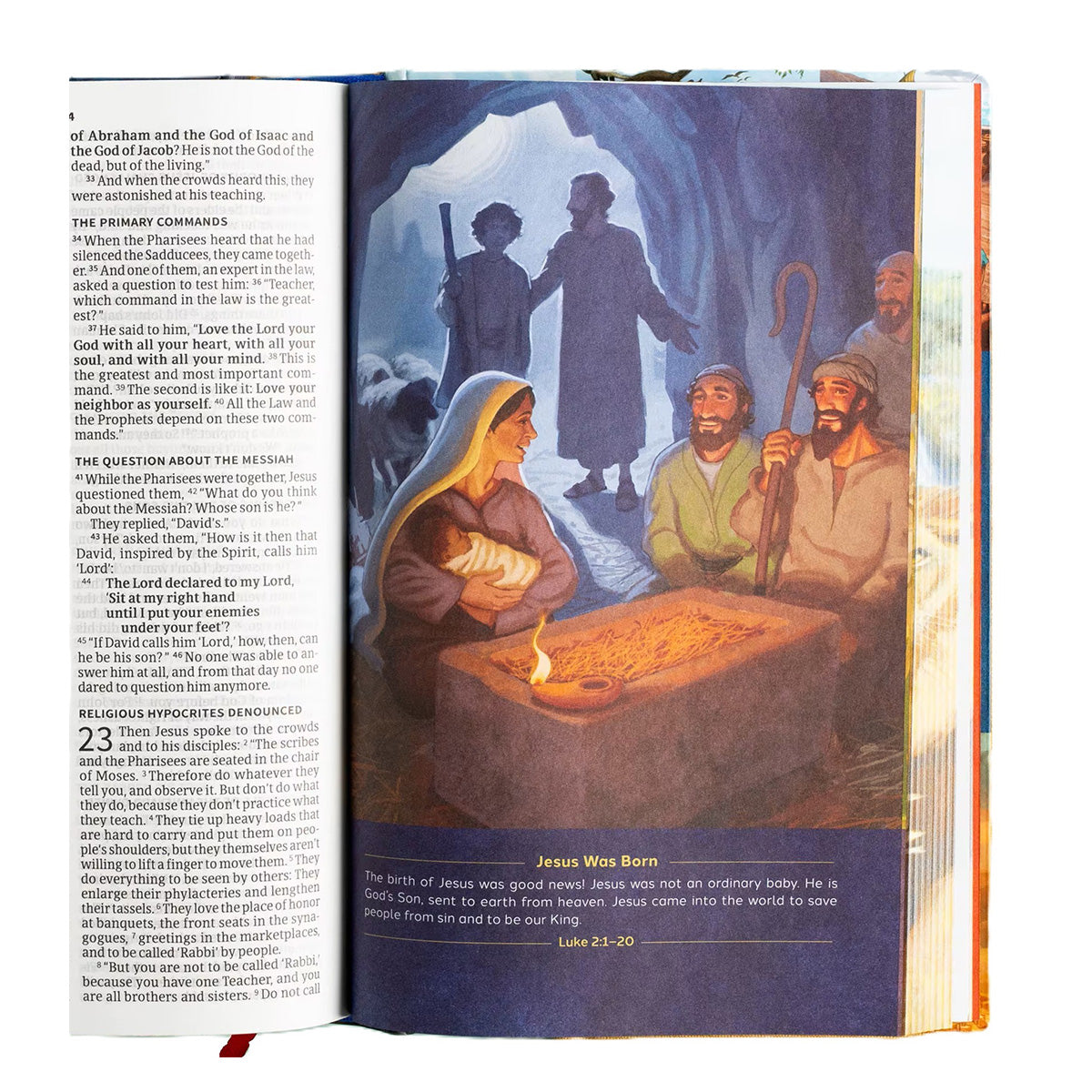 CSB Hardcover Holy Bible for Kids Economy Edition Large Print