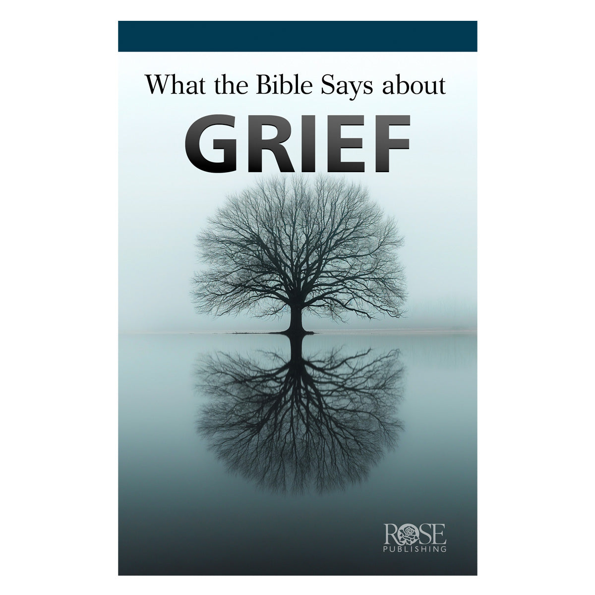 What the Bible Says about Grief (Pamphlet)