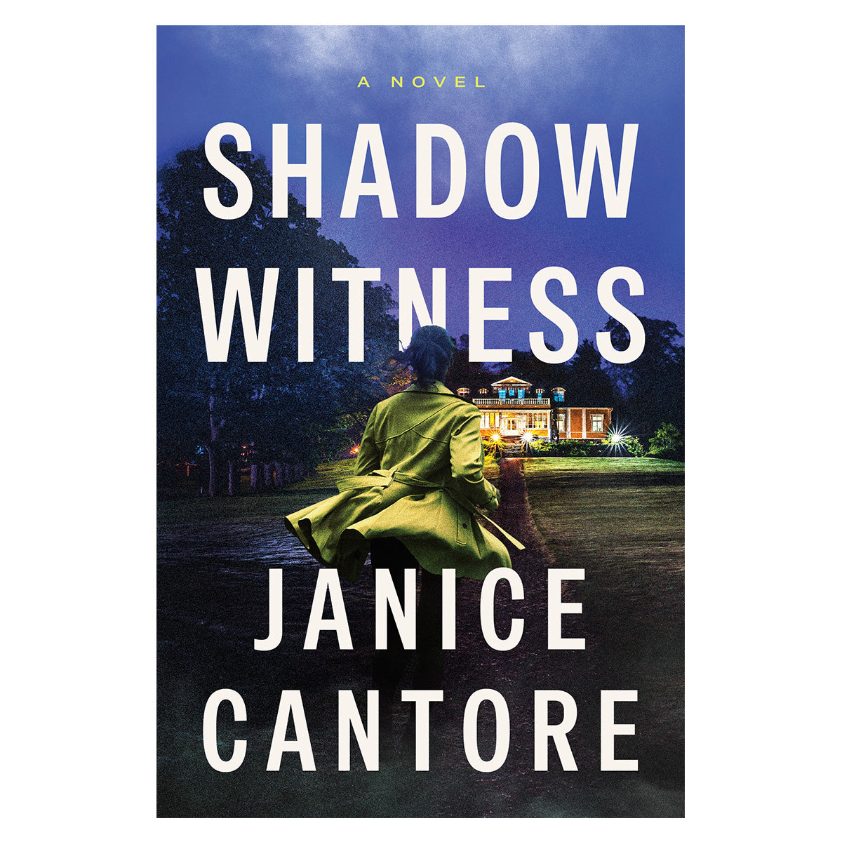 Shadow Witness: A Novel (Paperback)
