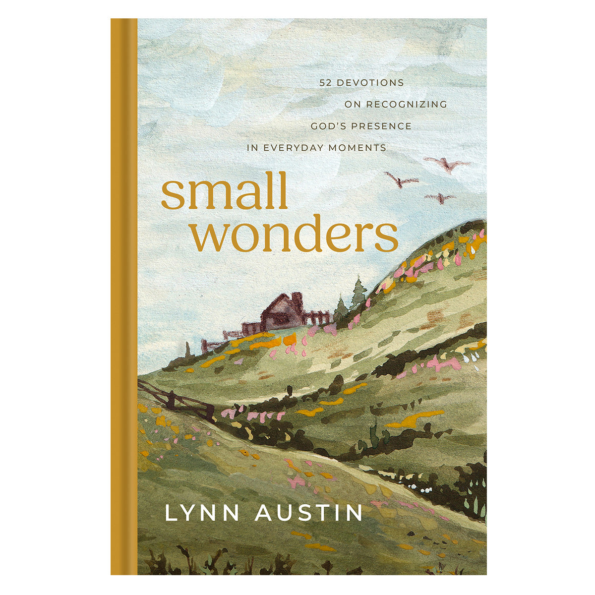 Small Wonders: 52 Devotions on Recognizing God's Presence in Everyday Moments (Hardcover)