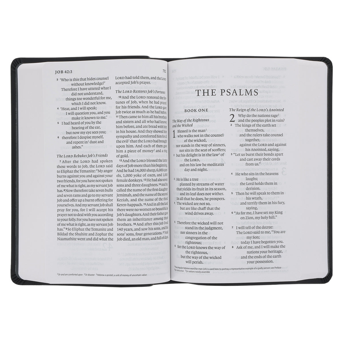 ESV Black Imitation Leather Value Personal Size Bible Giant Print