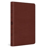 ESV Chestnut Imitation Leather Value Thinline Bible Large Print