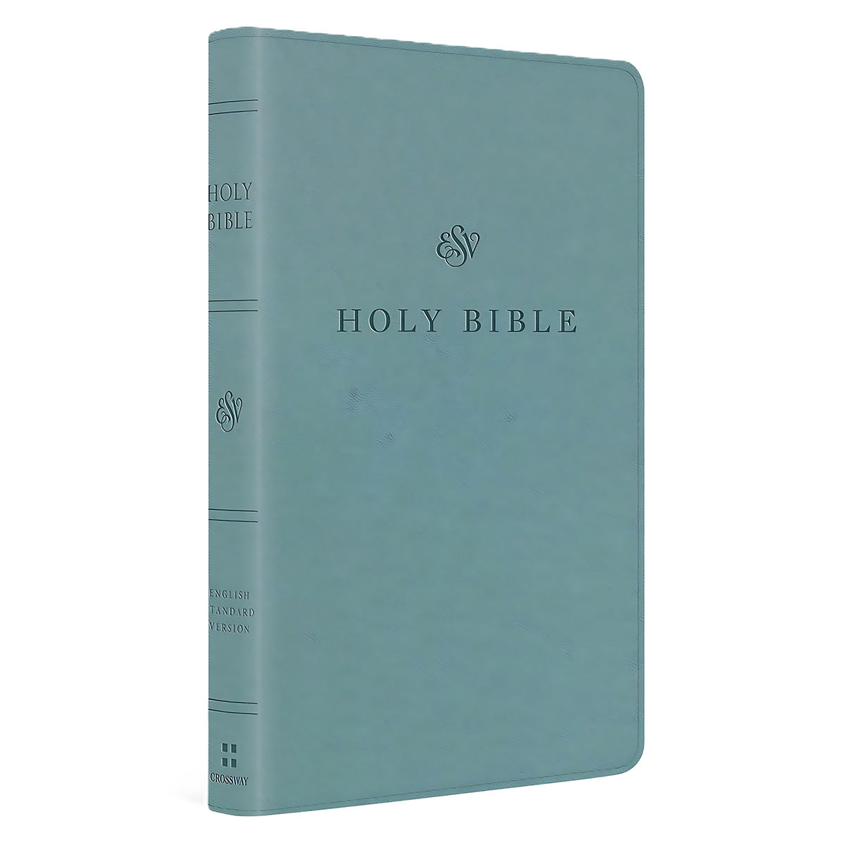 ESV Premium Church Bible, Imitation Leather, Paris Sky
